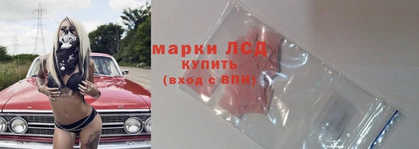 ГАЛЛЮЦИНОГЕННЫЕ ГРИБЫ Баксан