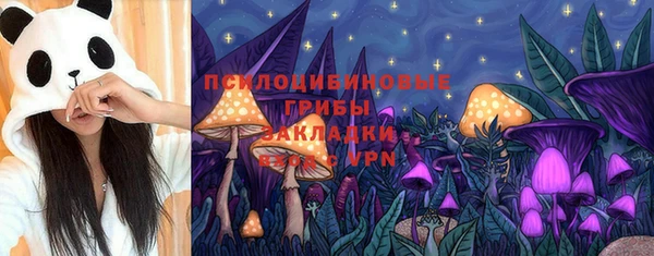 соль курить ск Богородицк