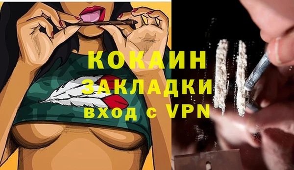 ГАЛЛЮЦИНОГЕННЫЕ ГРИБЫ Баксан
