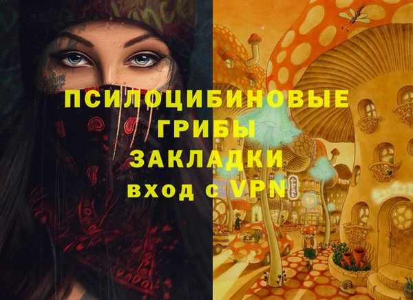 соль ск Богданович