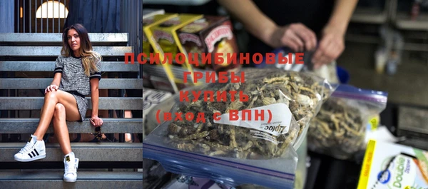 ГАЛЛЮЦИНОГЕННЫЕ ГРИБЫ Баксан