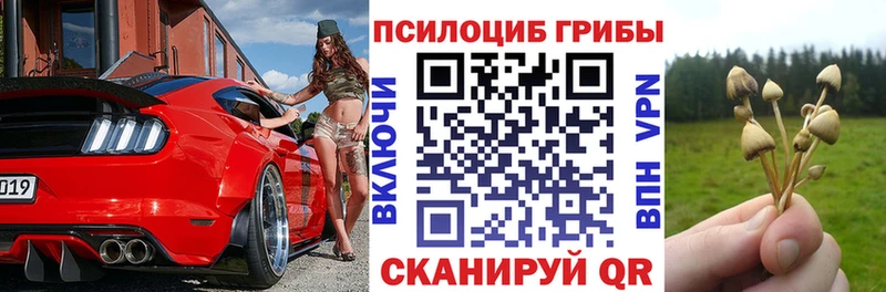 Псилоцибиновые грибы Magic Shrooms  Купить закладки  Буй 